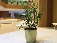 -ROCKPLUS攀岩馆(环宇城店)