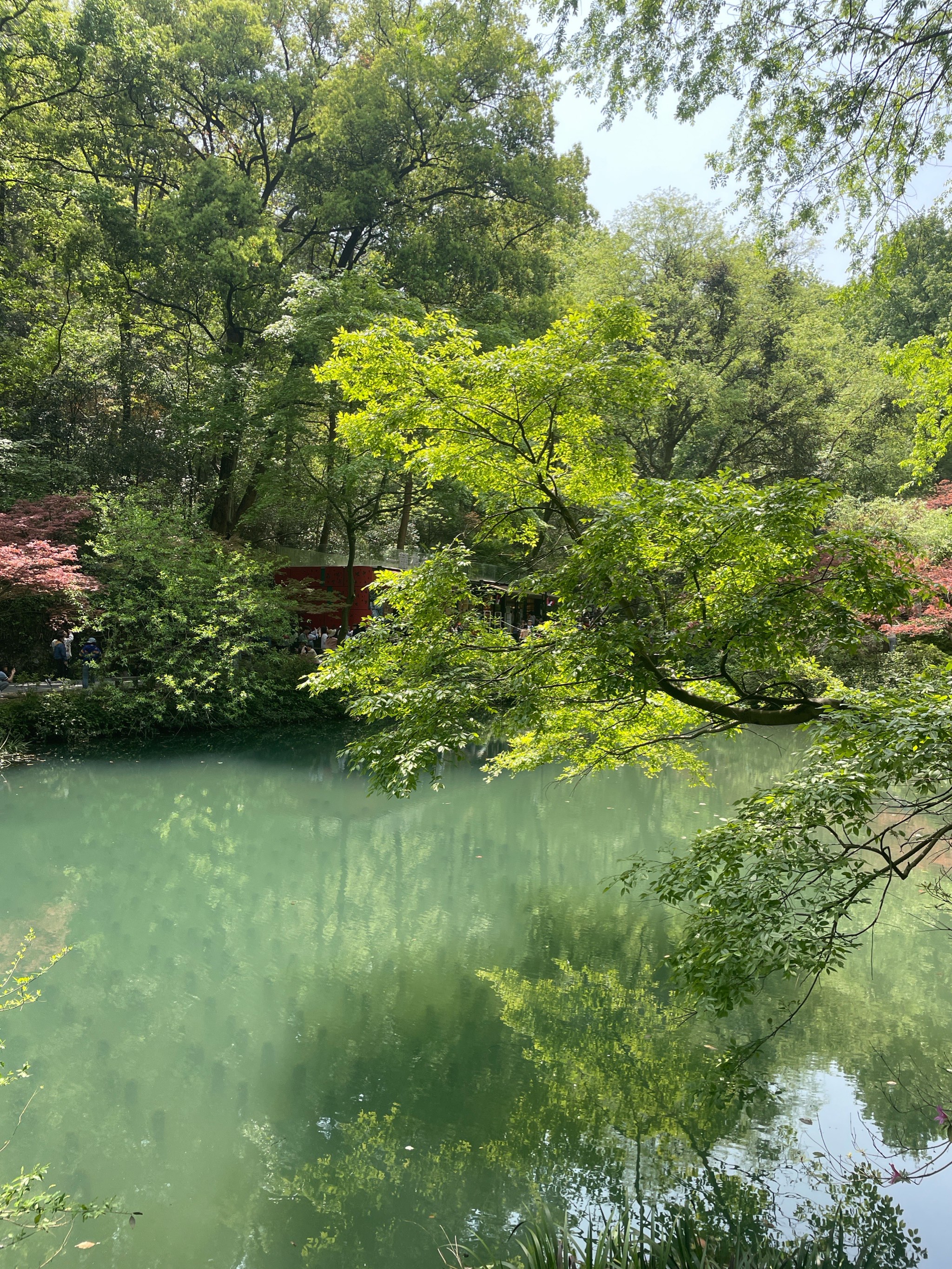 岳麓山风景图片