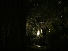 -张家港金凤凰度假村温泉