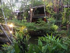 -绿光森林餐厅