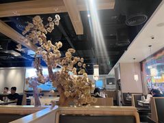 -九毛九西北菜(百信广场店)