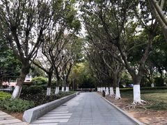 -鼓浪屿内厝澳码头(轮渡站)