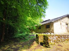 -山王坪喀斯特国家生态公园