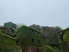 -枸杞岛