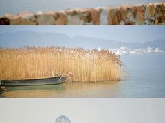 -苏州太湖西山岛开心农场
