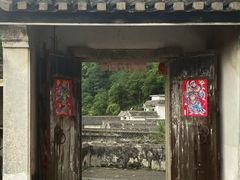 -雁南飞茶田景区