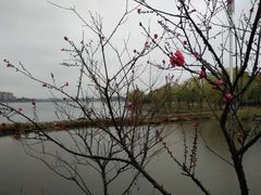 -山湖温泉