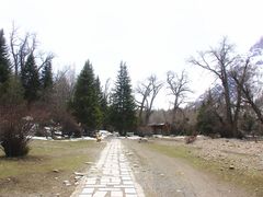 -米堆冰川