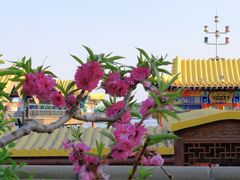 -颐和园