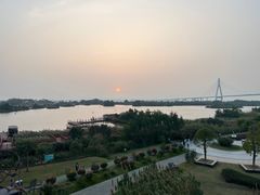 -芒洲湿地公园