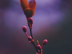 -维乐口腔医院(星海湾分院)