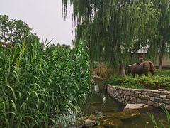 -春风习习