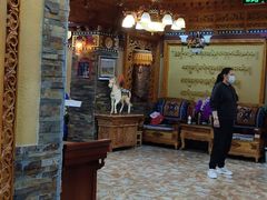 大堂-宗巴雍姆藏餐府