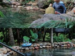 -融汇温泉