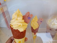 芒小芝-麦当劳(石家庄乐活广场店)