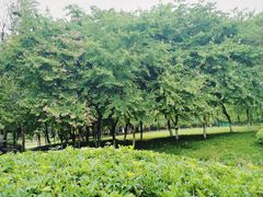 -眉山湿地公园(东坡区)