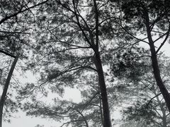 -白云山风景名胜区