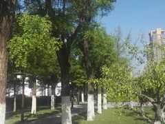 -木塔寺遗址生态公园