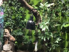 -上海大自然野生昆虫馆(东方明珠·爬宠昆虫探索中心)