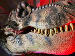 -恐龙探索乐园(磁器口店)