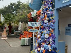 -苏小糖(鼓浪屿三丘田花园店)