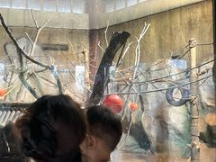 -祥源·阜阳生态乐园