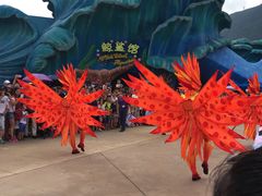 -珠海横琴长隆《卡卡虎奇遇记》