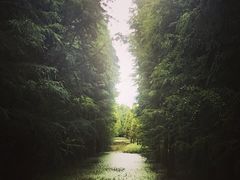 -呈贡滇池生态湿地公园