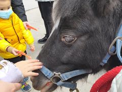 -重庆和泰马术俱乐部