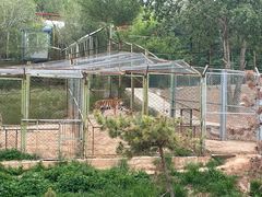 -青藏高原野生动物园