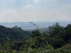 -火炉山森林公园