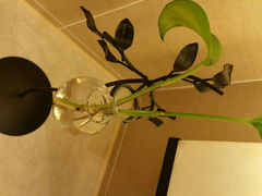 android_upload_pic-杭州东站汇和君亭酒店