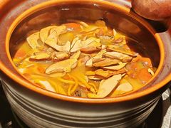 -季季山·云南野生菌火锅(上海首店)