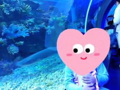 -江和美海洋公园