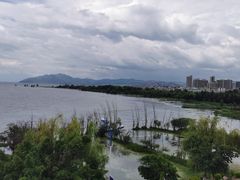 -野菌皇海景野生菌火锅(滨海大道店)