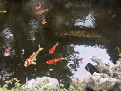 -鲤院·新中式美学·庭院餐厅(夫子庙店)