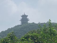 -杭州半山国家森林公园