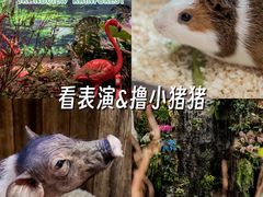 -正佳极地海洋世界