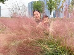 -映月湖中央公园