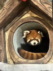 -Zoolung Zoolung动物主题公园(海信广场店)