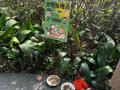 -广州兰圃