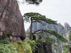 -黄山玉屏楼宾馆餐厅