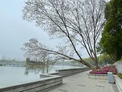 -葛仙湖公园