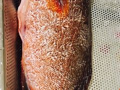 -Ducgo Live Seafood
