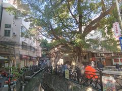 -小洲村