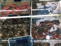 -明记海鲜大排档(巽寮湾店)