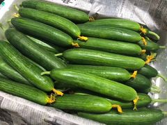 水果小黄瓜-水果天空(东葛店)