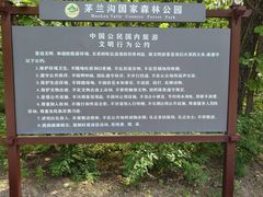 -茅兰沟国家森林公园
