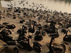 -艾溪湖湿地公园