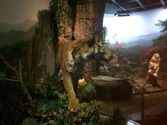 -陕西自然博物馆